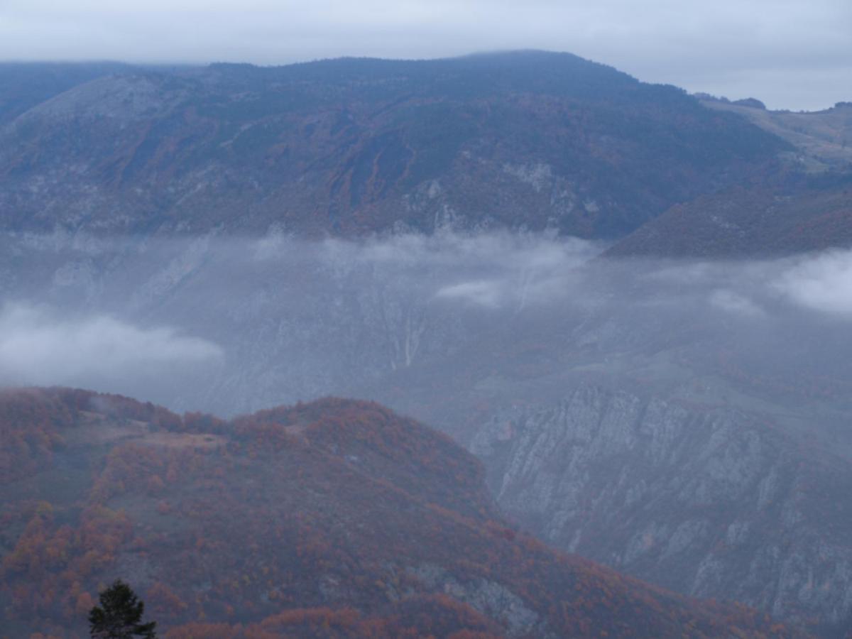 Guesthouse Ukus Durmitora Žabljak エクステリア 写真